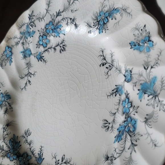 Myott England Forget Me Not Fine Staffordshire Ware Blue Floral Shabby Chic - Picture 12 of 16